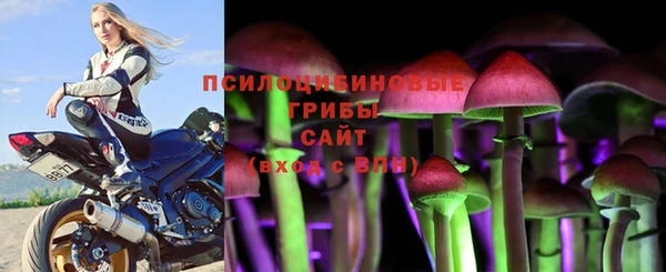 ГАЛЛЮЦИНОГЕННЫЕ ГРИБЫ Алзамай