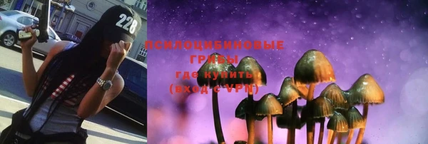 ГАЛЛЮЦИНОГЕННЫЕ ГРИБЫ Алзамай