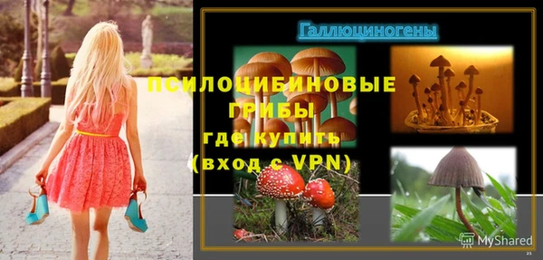 ГАЛЛЮЦИНОГЕННЫЕ ГРИБЫ Алзамай